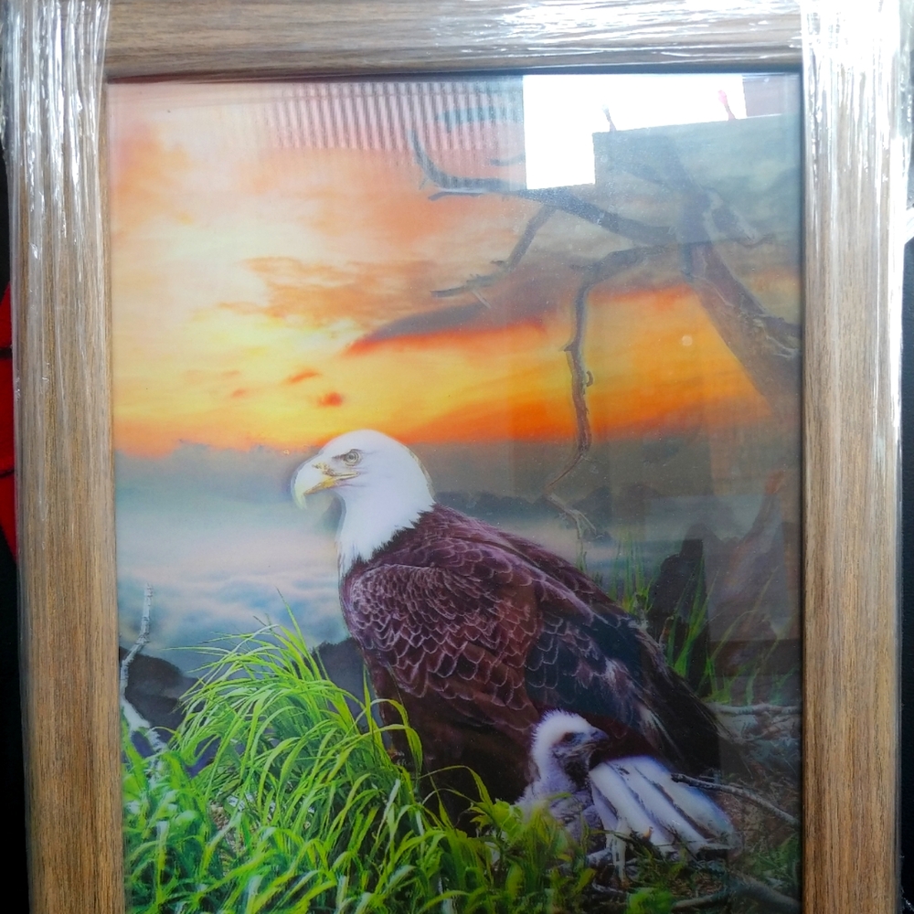 Framed 3D picture - Eagles at nest